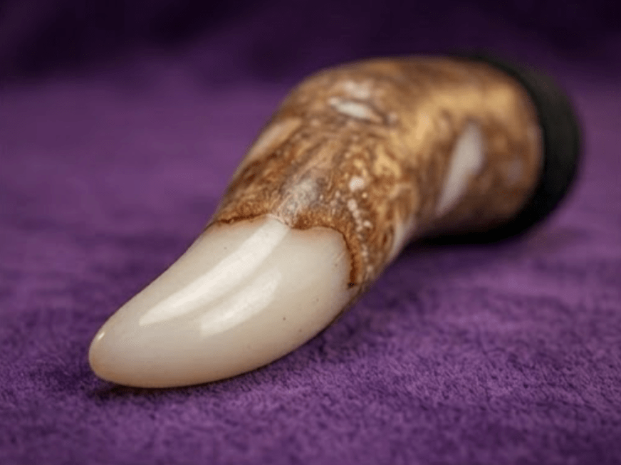 Jinn Horn — Bound Djinn Vessel | Manifestation, Protection & Wish Granting | Consecrated Spiritual Artifact - PsychicHermano